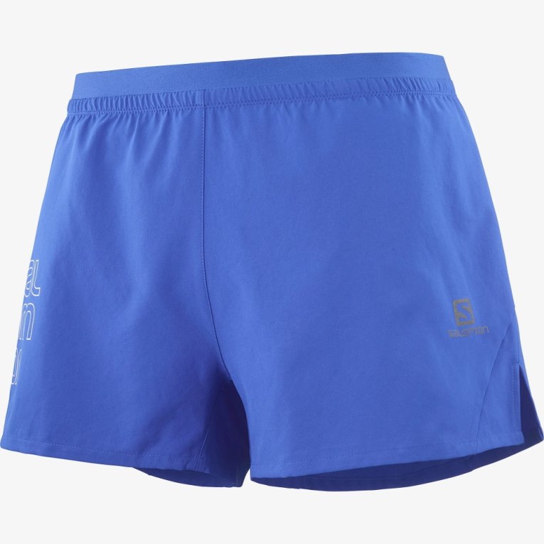 Blue Salomon Cross 3'' Men's Shorts | IE PG9528